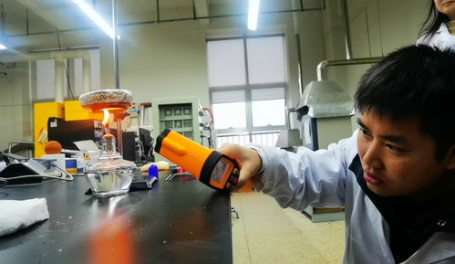 我國自主研發(fā)新型材料泡沫陶瓷 保溫還能防火