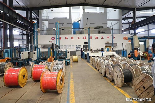 電線電纜可以用幾年 如何延長使用壽命